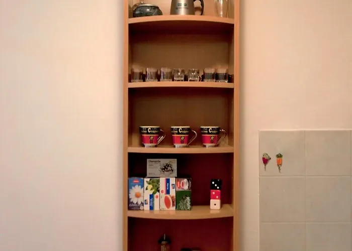 Amn Center Apartment